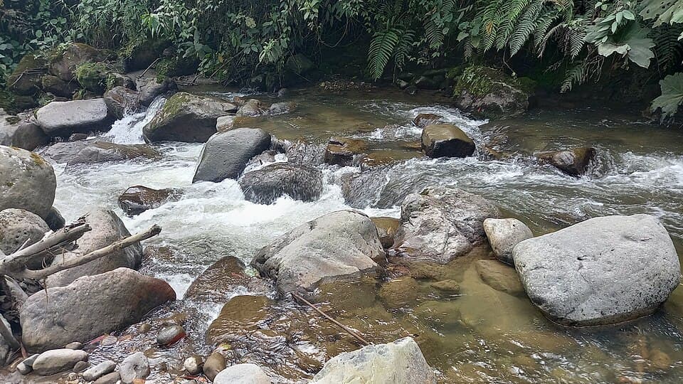 Río en Gallinazo, Villamaría; imagen de referencia para Termales Tierra Viva