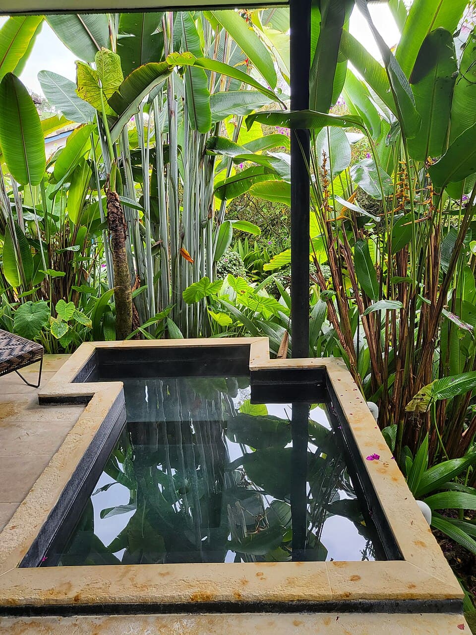 Piscina termal rodeada de vegetación en Termales El Otoño